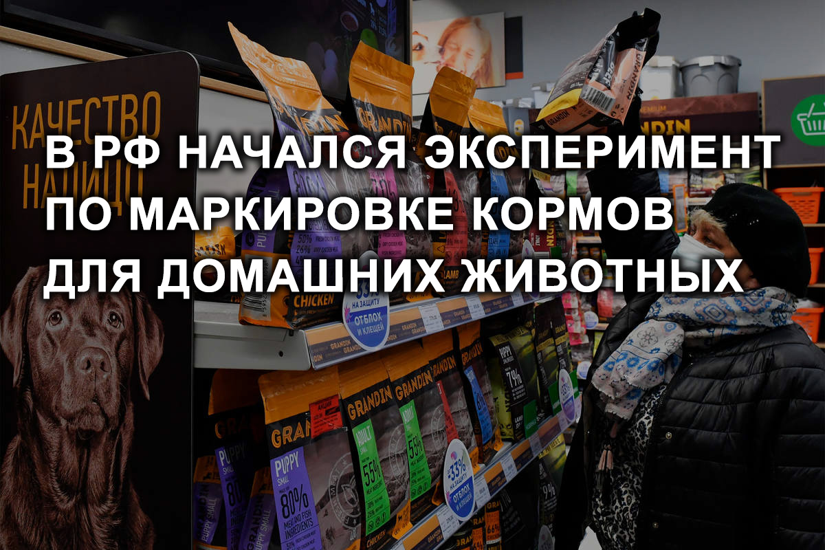 В России начался эксперимент по маркировке кормов для домашних животных.